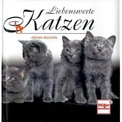 Liebenswerte Katzen