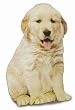 Faux Pet - Love Pets But Hate the Hassle? - Get Buddy the Realistic Looking Faux Dog