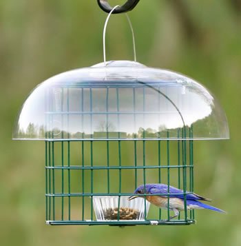 Duncraft Caged Mealworm Feeder