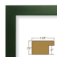 8x10 Green photo frame / picture frame