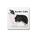 Border Collie Rubber Square Coaster (4 pack)