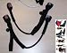 Sports : ASCAN Trapeztampen Set Vario Powerset verstellbar Trapezleine versch. Gr&ouml;&szlig;en PREISHIT !!! 140 -190 Wave