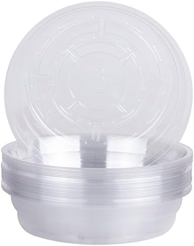 Curtis Wagner 7591880600082 Round Clear Vinyl 6" Plant Saucer-25 Pack, 6"