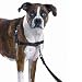Easy Walk Dog Harness, Petite Small Red