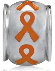 Sterling Silver BE Orange Ribbon Awareness Bead Charm GC0010