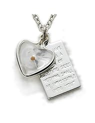 .925 Sterling Silver Heart with Mustard Seed Christian Faith and Passage Plate Womens Religious Jewelry Mustard Seed Christian Faith Jewelry Gift Boxed w/Chain Necklace 18" Length Gift Boxed