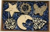 Variety Ornaments 6Pc Gift Bx 4