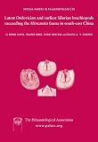 Latest Ordovician and earliest Silurian brachiopods succeeding the Hirnantia fauna in South-East China
