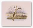 Winter's Rest by Howard Burger 11"x14" Art Print Poster