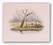 Winter's Rest by Howard Burger 11"x14" Art Print Poster