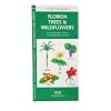 Florida Trees & Wildflowers: An Introduction to Familiar Species (Pocket Naturalist)