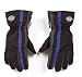 Search : Dickies Winter Glove (D06BBLU-L)