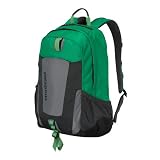 Patagonia Yerba 22L Pack