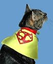 Super Cat Halloween Costume Collar Size Small