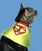 Super Cat Halloween Costume Collar Size Small