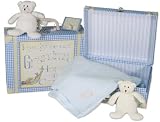 Ready or Not Grandma Here I Come Suitcase (Blue Gingham)