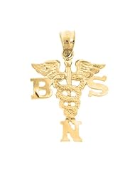 Gold-Plated 925 Sterling Silver BSN Bachelors Of Science Nursing Pendant