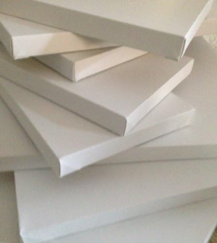 (6pk) 16x20 Artist Canvas Gallery Wrapped, Primed X 1.5 Depth