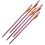 5 Pack Of 150 Lb. Crossbow Arrows