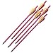 5 Pack Of 150 Lb. Crossbow Arrows