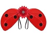 fairy wings for halloween