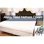 Aller Ease Dust Mite Barrier Queen Mattress Protective Cover - Encasing
