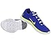 Nike Men's Free Trainer 3.0 Traning Shoe