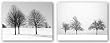 Silhouettes of Winter Set by Ilona Wellman 16"x12" Art Print Poster