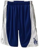 MLB Youth Los Angeles Dodgers Mesh Short (Western Blue, Large)