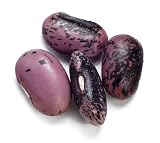 Runner Beans, Scarlet - 12 Oz Bag Each