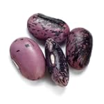 Runner Beans, Scarlet - 12 Oz Bag Each