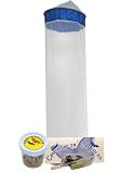 Live Butterfly Kit: SHIPPED WITH 5 Painted Lady Caterpillars Now