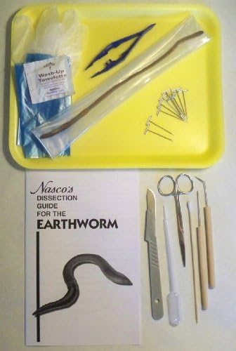 Earthworm Dissection Kit with Guide, Tray, Tools and Specimen