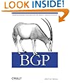 BGP: Building Reliable Networks with the Border Gateway Protocol