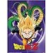 Search : Dragon Ball Z: Super Saiyan Gohan Anime Wall Scroll