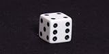 16mm D6 White w/black pips die