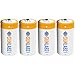 SunLabz 3000mAh NiCd C Rechargeable Batteries (4 Pack)