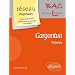 Gargantua de Rabelais Epreuve de Litt�rature Bac L
