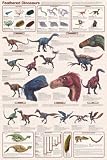 (24x36) Feathered Dinosaurs Educational Science Chart Poster