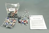 Chemistry of Nutrients Model Kit