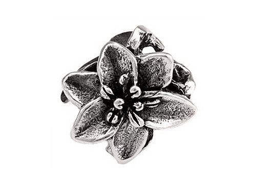 exotic charm