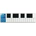 Korg nanoKEY 25 Key USB Controller Keyboard, Black