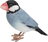 オブジェ バーディビル 桜文鳥 16.5×9.5×3.8 1684