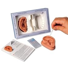 3B Scientific N15 Silicone 2 Acupuncture Ears Model, 3.7" x 2.4" x 1.6"