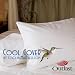 Cooling Pillow Cover (King) - made with Outlast&reg; by Coolingmattress.com
