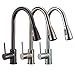 FREUER Drammatico Collection: Pull Out Spray Kitchen Sink Faucet, Brushed Nickel