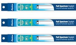 Aqueon 65356 18-Inch Full-Spectrum Daylight T8 Fluorescent Lamp 15-Watt