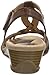 Earth Women's Azalea Dress Sandal