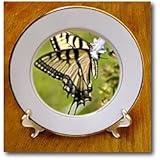 IMAGE OF Tiger Swallowtail Butterfly Feeding on Wildflower - 8 Inch Porcelain Plate
