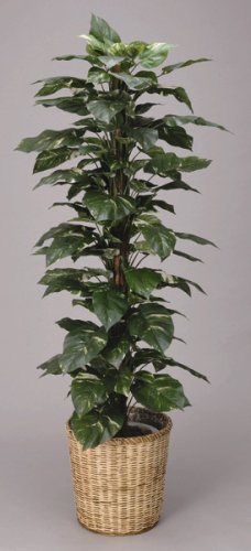 光触媒アートフラワー　ジャイアントポトスＡ４１０６－３５０　
